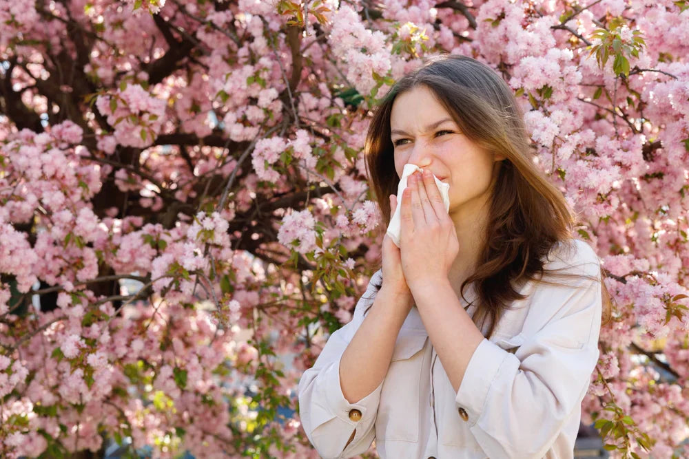 How to Combat Seasonal Allergies: 5 Tips to Prevent and Treat Allergies